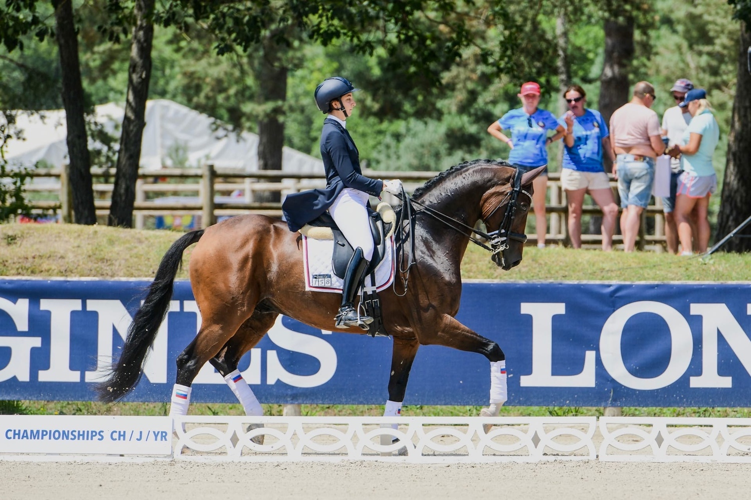 &nbsp;Запись на новый онлайн курс "Выездка с Анной Гусейновой"<br>